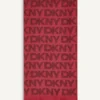 Pashmina metálica DKNY Pashmina metálica DKNY